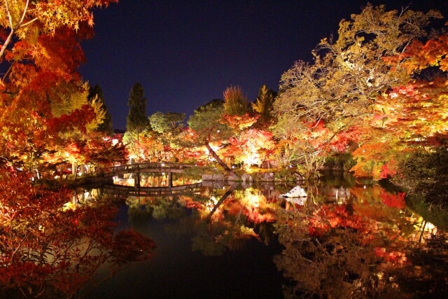 紅葉 紅葉