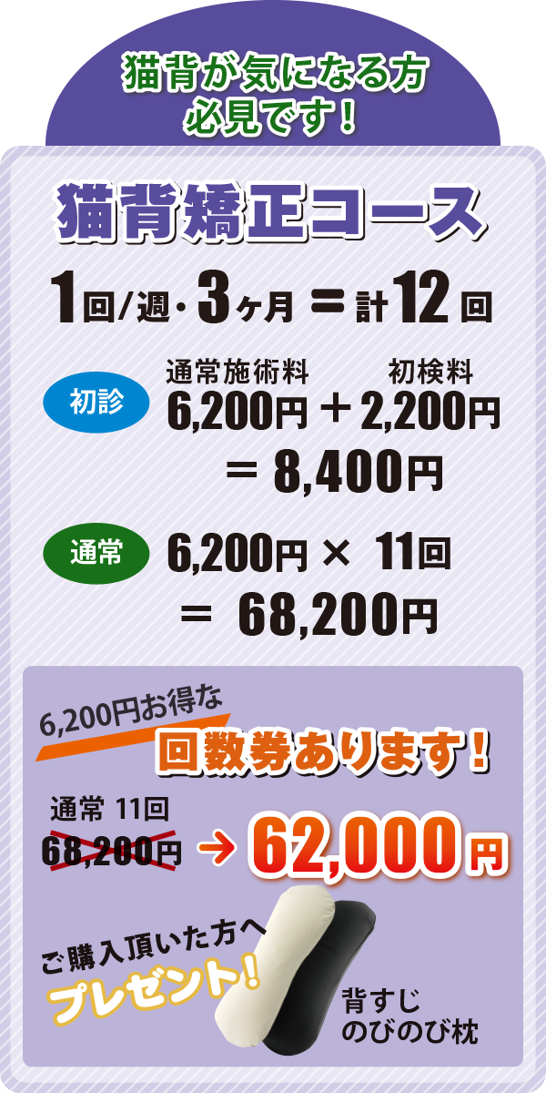 シニア猫背矯正コース料金 シニア猫背矯正コース料金